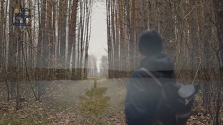 هوش طبیعت گرای گاردنر