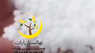 نهالستان۰۹۳۷۲۳۶۹۴۶۶