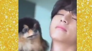 Bts/army                           kim tehyang      کیم تهیونگ          v              وی                سگم نشدیم