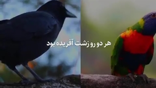 قابل توجه بعضیا