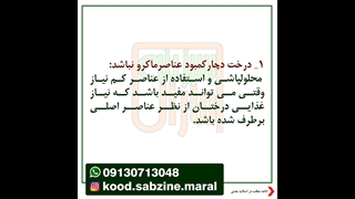 بالابردن راندمان محلول پاشی_ مشاوره واتساپ09130713048_سبزینه مارال یزد