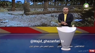 ماجرای صادرات نخل ایران به کشورهای جنوب خلیج فارس