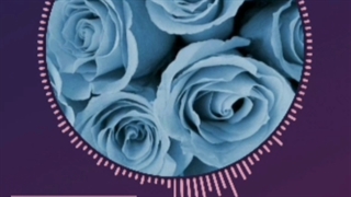 آهنگ هایی که دنبالش بودی