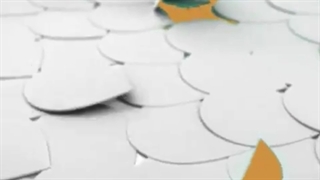 behtarin markaze kashte abroo