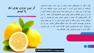 چگونه بوی نم فرش را از بین ببریم؟