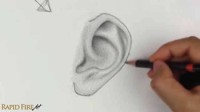 آموزش طراحی گوش انسان به سبک رئال