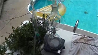 طرز تهیه عرق نعنا و سایر عرقیات گیاهی