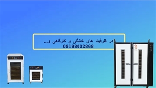 نکات مهم پیش از خرید خشک کن میوه
