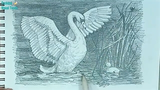 ✅ آموزش طراحی قو به روش آسان و حرفه ای