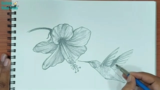 ✅ آموزش طراحی مرغ شهدخوار به روش آسان و حرفه ای