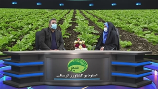 اهمیت زراعت پاییزه چغندر قند