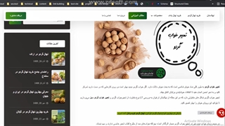 راهنمای جامع تعبیر خواب گردو