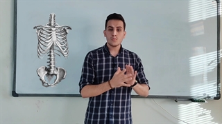 هورمون های موثر در استخوان