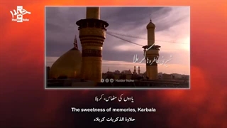 آرامش بی انتها کربلا - حسین طاهری | مترجم | English Urdu Subtitles