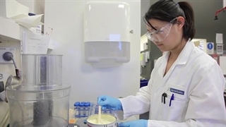 خط تولید شیر خشک