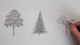 ✅ آموزش طراحی درختهای گوناگون