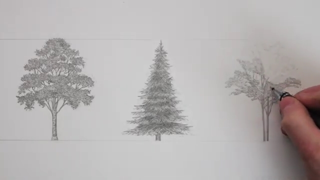 آموزش طراحی درختهای گوناگون