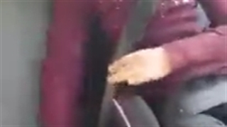 بوستر علی کالا