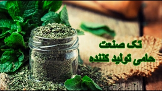 سبزی خشک کن / خشک کن کشک و میوه 09198002868