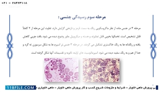 آموزش پرورش ماهی خاویار-شرایط نگهداری ماهی خاویار-تولید مثل ماهی خاویار