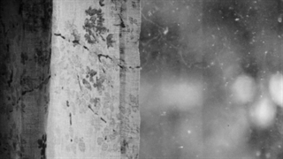 Adele _ Easy On Me (New Music Video)