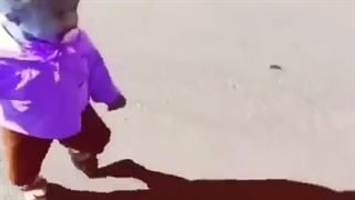 ترس از سایه