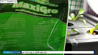 آموزش رایگان  کشت علوفه هیدروپونیک-راهنمای اصولی کشت علوفه-درمان پوسیدگی ریشه