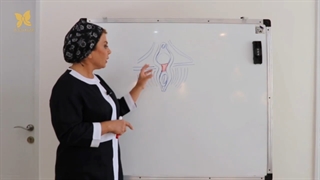 فیلم پرینورافی پارت دوم