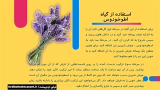 راهکار های از بین بردن بوی نم فرش زیبایی پوست