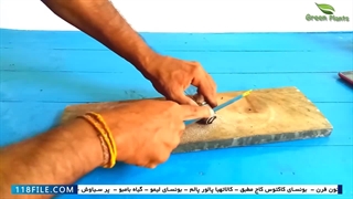 آموزش پرورش گل و گیاه آپارتمانی - اصول آموزش پرورش گل و گیاه آپارتمانی