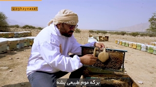 خودش میاره