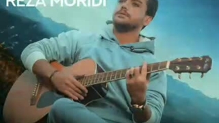 رضا مریدی شبونه