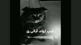 شب تولد آبانی 