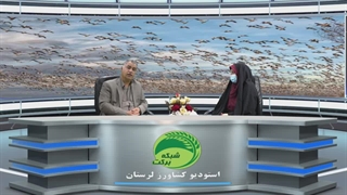 انفولانزای پرندگان