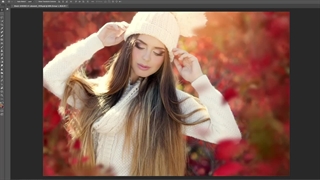 برگ های لایه باز