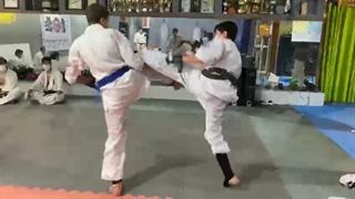 کمیته کیوکوشین.