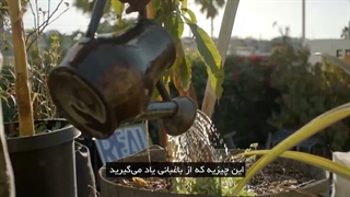 آموزش باغبانی و کاشت گیاه در مسترکلاس ران فینلی