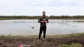 سگ گارد یا ادمگیر