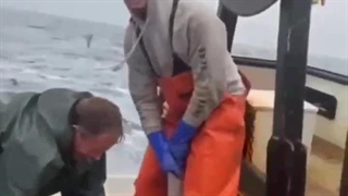 مال مفت و دل بی رحم