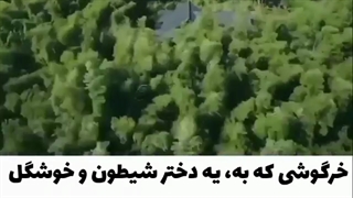 سریال چینی قلب من 2021❃
