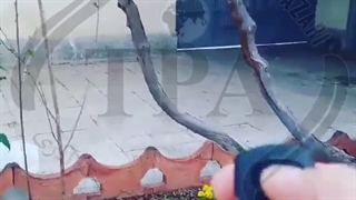 در بازکن ریموت دار مخصوص آیفون 12 ولت آزرایی