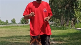 راز درشت شدن سگ