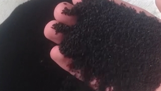 بزرگترین ارائه کننده سیاه دانه فله