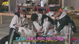 قسمت 11 برنامه گروه استری کیدز( SKZ Code) + زیرنویس فارسی چسبیده-720p