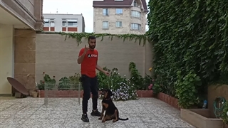 آموزش بخواب از دور