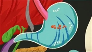 دانستنی های جالب درباره سیستم گوارش!