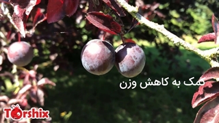 درمان یبوست