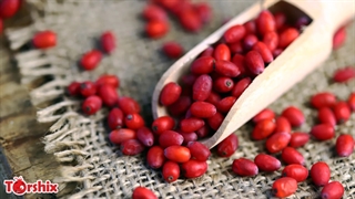 درمان فشار خون