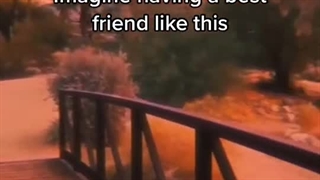 سالگرد دوستی مون مبارک دوست بی معرفت من!