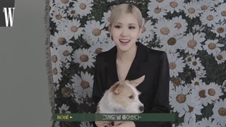 مصاحبه رزی همراه هنک با مجله Wkorea با زیرنویس چسبیده فارسی